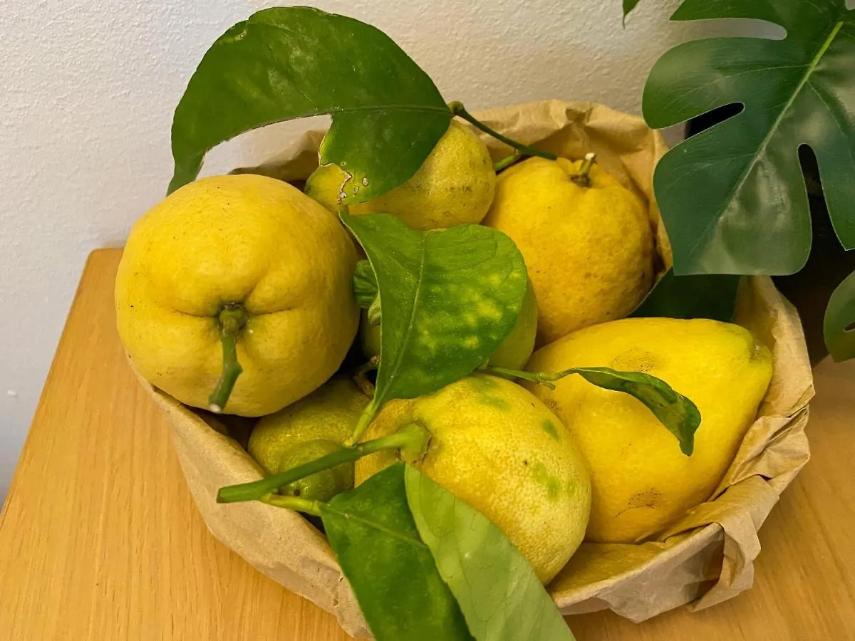 Fetta Di Limone Apartment With Ac And Patio Monterosso al Mare
